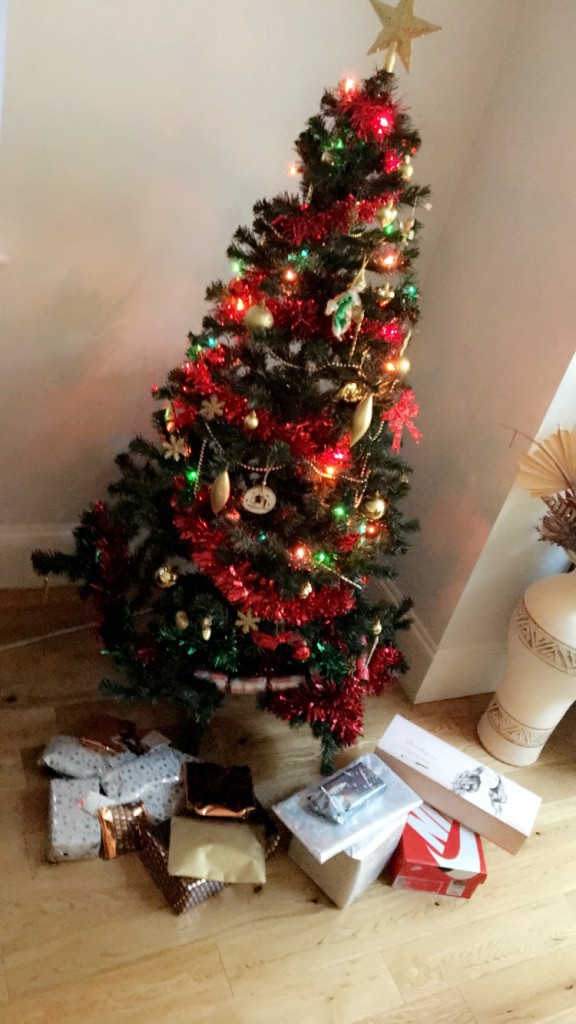 Granville Gardens - Christmas tree