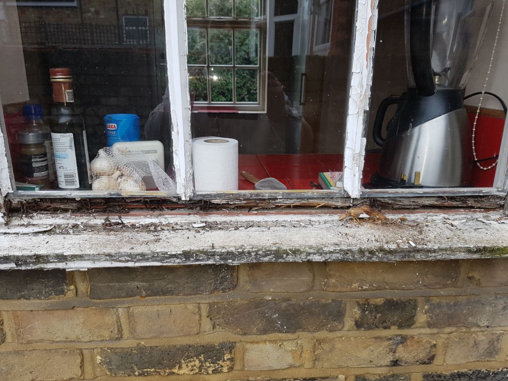 A window left for too long without any repair